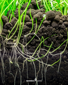 Collection image for: Soil, Substrates & Base Materials