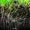 Soil, Substrates & Base Materials