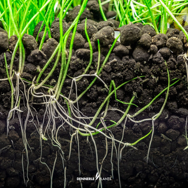 Soil, Substrates & Base Materials