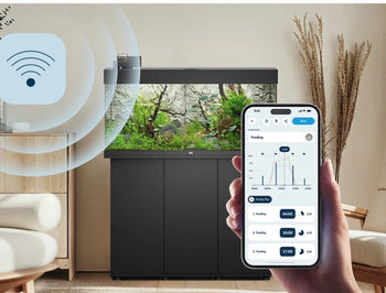 Essential Equipment & System Accessories