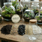 Premium Closed Terrarium DIY Kit–Soil, Gravel, Charcoal, Sand & white Quartz Set