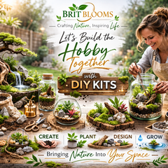 Collection image for: DIY Terrarium Kits & Starter Bundles