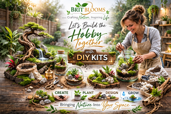 DIY Terrarium Kits & Starter Bundles