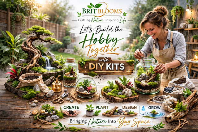 DIY Terrarium Kits & Starter Bundles