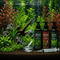 Plant Nutrition & Fertilisation