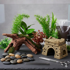 Collection image for: Aqua Decor Enthusiasts