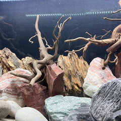 Collection image for: Hardscape for Aquariums