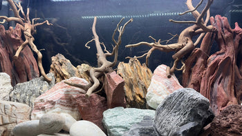Hardscape for Aquariums