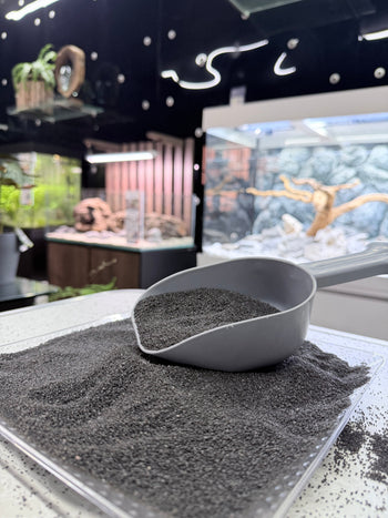 Premium Natural Sand Collection
