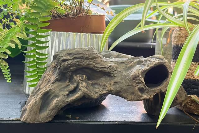 Caves, Hideouts & Functional Décor