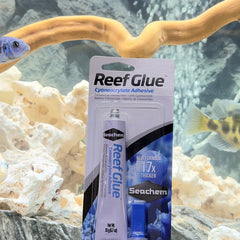 Collection image for: Aquarium Glue