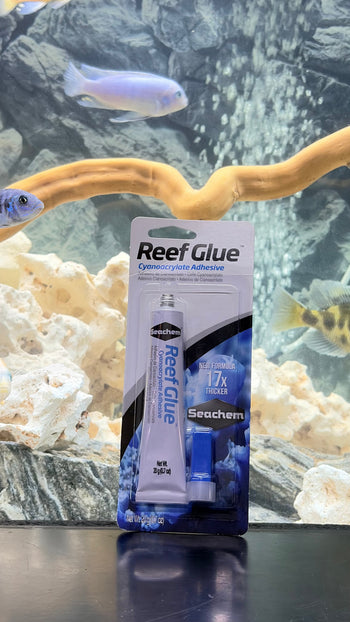 Aquarium Glue