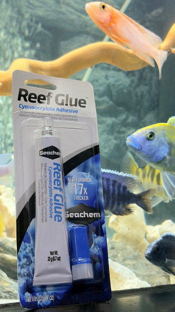 Aquarium Hardscape Glue