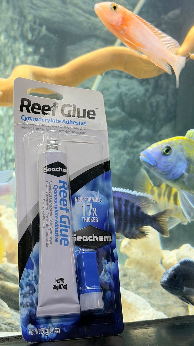 Aquarium Hardscape Glue