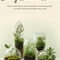 Terrarium Plants & Living Elements