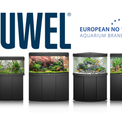 Collection image for: Aquarium Tanks & Display Systems