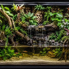 Collection image for: Beginner Paludariums