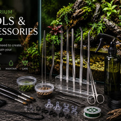 Collection image for: Terrariums Tools & Accessories