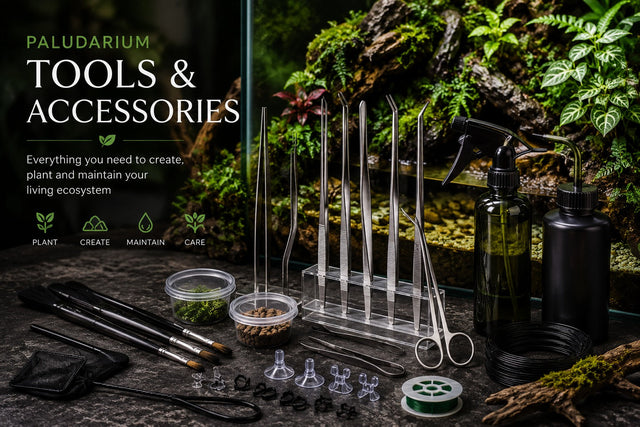 Terrariums Tools & Accessories