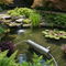 Pond Filtration & Water Clarity