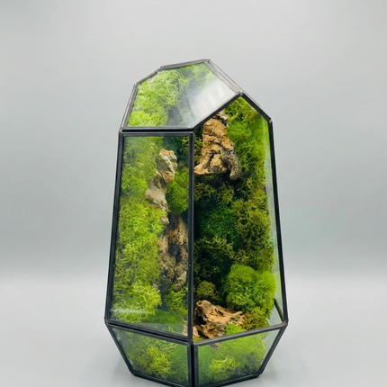 Geometric Preserved Moss Terrarium