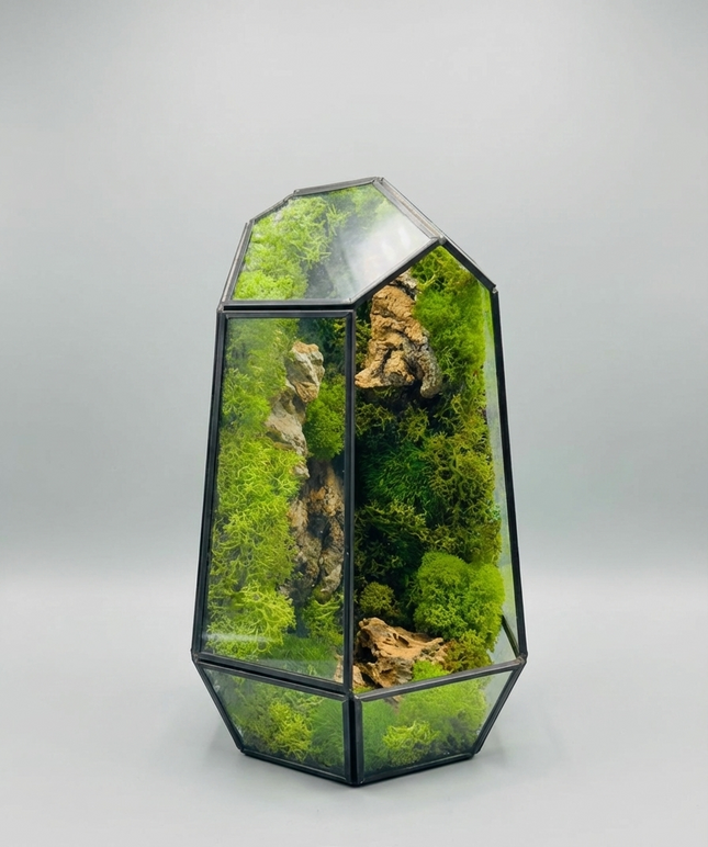 Geometric Preserved Moss Terrarium