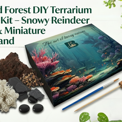 Frosted Forest DIY Terrarium Starter Kit