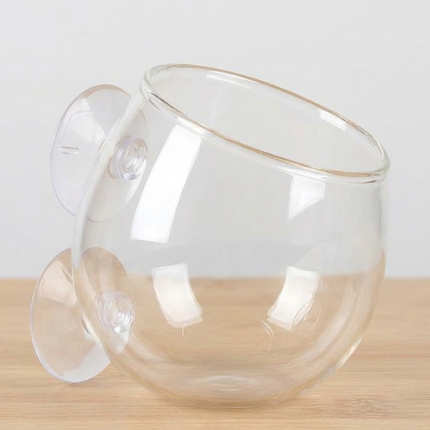 AquaDella Glass Plant Cup