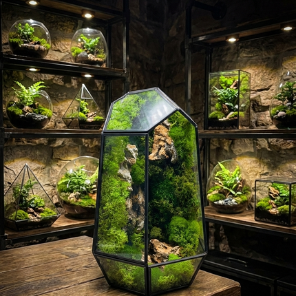 Geometric Preserved Moss Terrarium