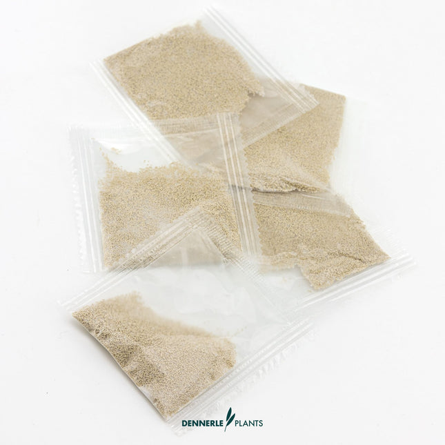 Dennerle Bio CO2 Starter Refill Pack - 60 Days Supply - Powder & Activator