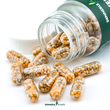 Dennerle Plants Power Caps - NPK Root Fertilizer Tabs for Aquarium Substrate