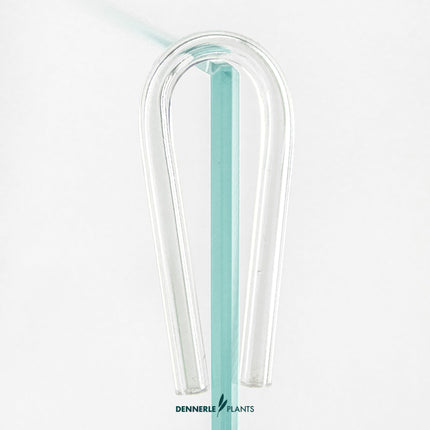 Aquarium CO2 Diffuser + U-Pipe - Fine Mist Ceramic Membrane & Bubble Counter