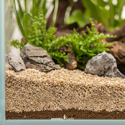 Dennerle Plants Substrate - Long-Term Nutrient Base Layer for Aquariums