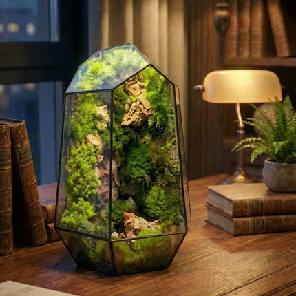 Geometric Preserved Moss Terrarium