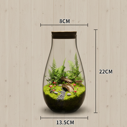 Premium Terrarium DIY Kit
