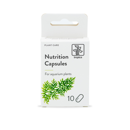 Aquarium Plant Nutrition Capsules – Root Fertilizer Tabs for Healthy Growth