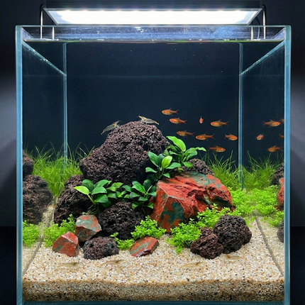 Red Earth Aquascape Gift Hamper | Red Lava Rock, Red Jasper & River Sand Set