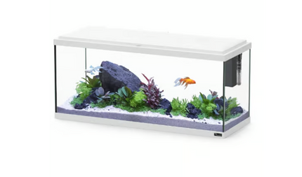 Aquatlantis Explorer Amsterdam 85L Aquarium Fish Tank with Safe LED & Bio Filter