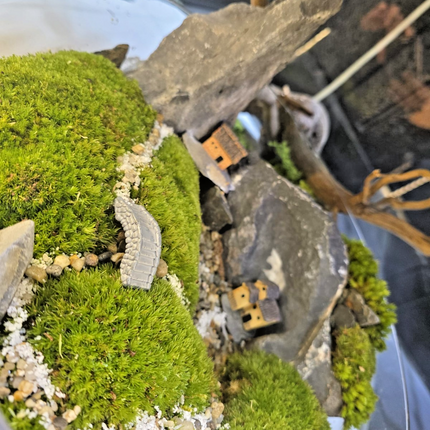 Live Moss Terrarium Glass Bowl | Miniature Village Garden | Zen Rock Scenery
