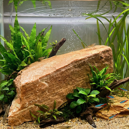 Sunstone Rock for Aquarium | Premium Hardscape Stone for Aquascape & Terrarium