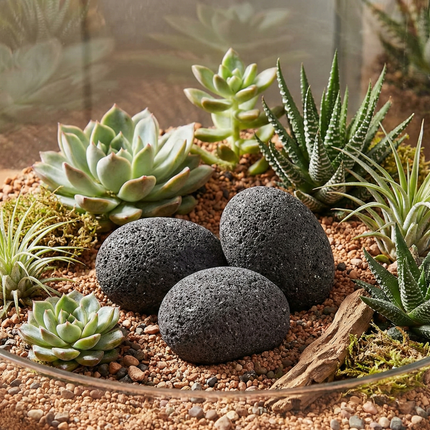 Black Lava Deco Balls 70–90 mm – Natural Volcanic Rock for Aquariums & Terrarium