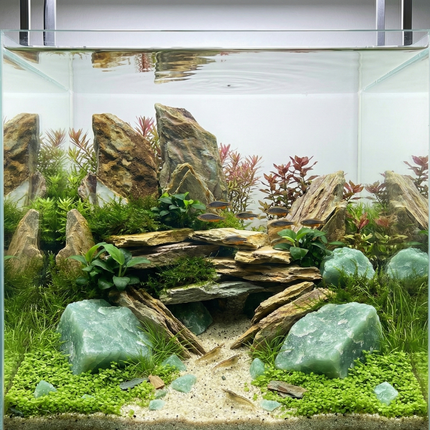 Forest Stream Aquascaping Set – Green Quartz, Quartzite Slate & River Sand