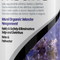 Seachem Pristine Aquarium Bacteria Water Treatment Clarifier Fresh & Marine