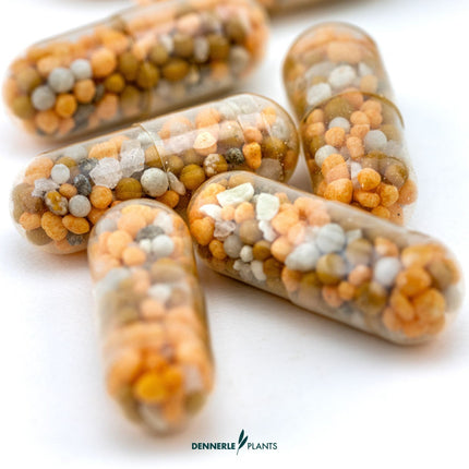 Dennerle Plants Power Caps - NPK Root Fertilizer Tabs for Aquarium Substrate