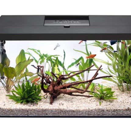 Aquael Leddy 60 Day and Night Aquarium Black