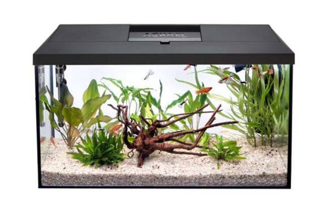 Aquael Leddy 60 Day and Night Aquarium Black