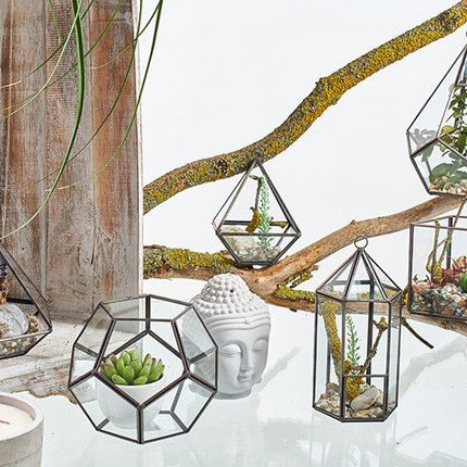Glass Terrarium - Cube on Corner