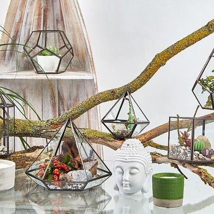 Glass Terrarium - Small Diamond