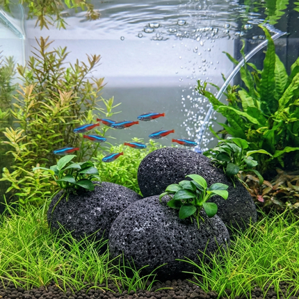 Black Lava Deco Balls 70–90 mm – Natural Volcanic Rock for Aquariums & Terrarium