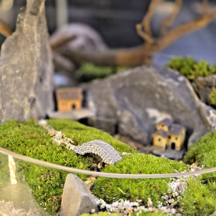 Live Moss Terrarium Glass Bowl | Miniature Village Garden | Zen Rock Scenery